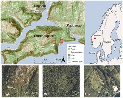 Vaccinium dwarf shrubs responses to experimental warming and herbivory resistance treatment are species- and context dependent